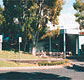 Tamwell Motel - Tourism Canberra