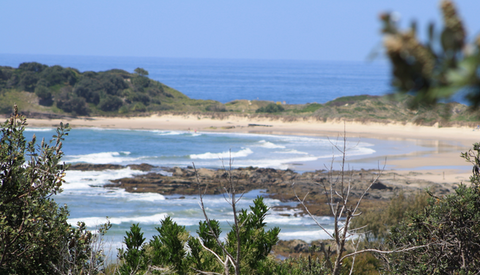 The Bowlo Holiday Cabins - Tourism Canberra 0