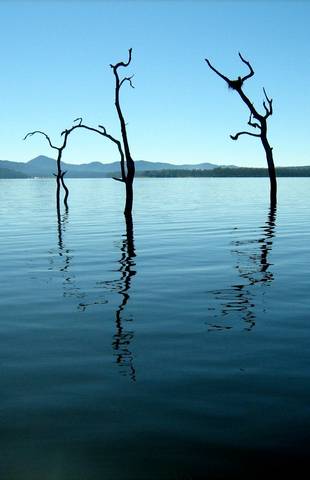 Tinaroo Lake Resort - Holiday Apartments - Tourism Canberra 11