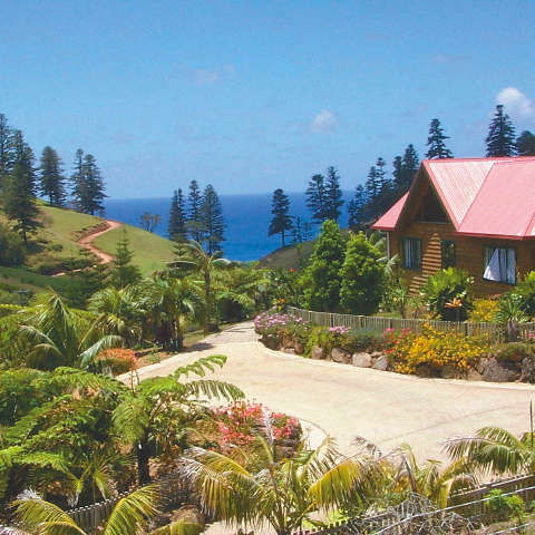 Tintoela Of Norfolk - Tourism Canberra 0