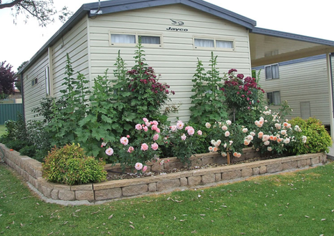 Walcha Caravan Park - Tourism Canberra 3