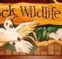 Wave Rock Hotel Motel - Tourism Canberra