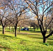 Wellington Caves Caravan Park - Tourism Canberra