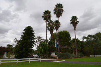 Westview Tourist Caravan Park - Tourism Canberra 8