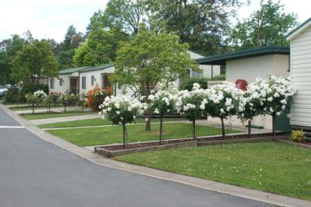 Wodonga Caravan & Cabin Park - Tourism Canberra 0