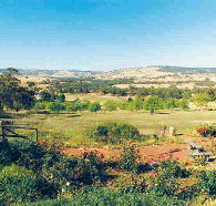 Pecan Hill Bed and Breakfast - Tourism Canberra