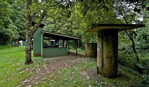 Forest Tops Campground - Tourism Canberra 1