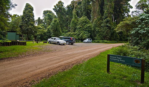 Forest Tops Campground - Tourism Canberra 2