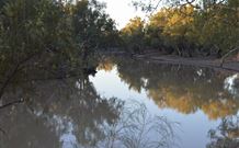 Four Mile Camping Reserve - Tourism Canberra 0