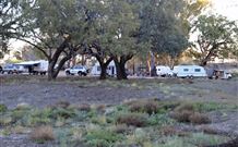 Four Mile Camping Reserve - Tourism Canberra 1
