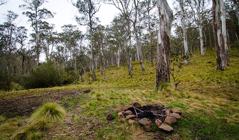 Tomalla NSW Tourism Canberra