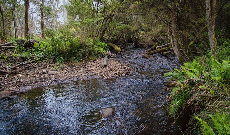 Moonan Brook NSW Tourism Canberra