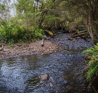 Horse Swamp campground - Tourism Canberra