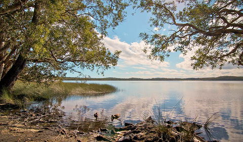 Johnsons Beach Campground - Tourism Canberra 1