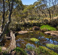 Junction Pools campground - Tourism Canberra