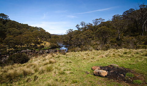 Junction Pools Campground - Tourism Canberra 1