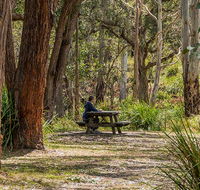 Koreelah Creek campground - Tourism Canberra