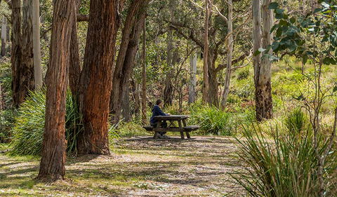 Koreelah Creek Campground - Tourism Canberra 0