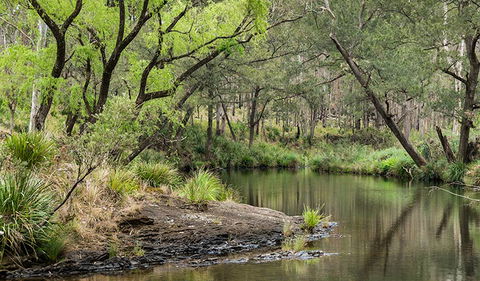 Koreelah Creek Campground - Tourism Canberra 1