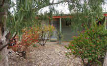 Lightning Ridge Outback Resort And Caravan Park - Tourism Canberra 3