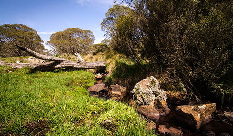 Little Murray Campground - Tourism Canberra 1