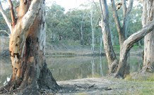 Mclean Beach Holiday Park - Tourism Canberra 5