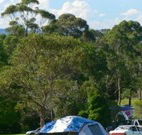 Milton Valley Holiday Park - Tourism Canberra