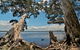 Mungo Brush Campground - thumb 1