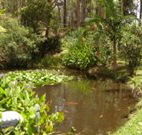 Tallowood Ridge B and B - Tourism Canberra