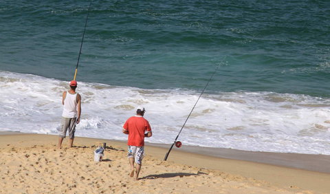 The Ruins Campground And Picnic Area - Tourism Canberra 2
