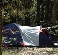 Thungutti campground - Tourism Canberra