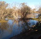 Warrawong on the Darling - Tourism Canberra