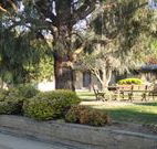Hamilton Hume Motor Inn - Yass - Tourism Canberra
