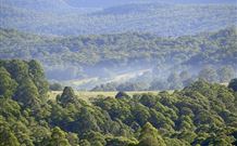 Nowendoc NSW Tourism Canberra