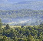 Nowendoc Country Motel - Nowendoc - Tourism Canberra