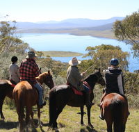 Reynella Homestead and Horseback Rides - Tourism Canberra