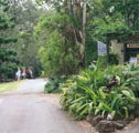 Tamborine Mountain Caravan  Camping - Tourism Canberra