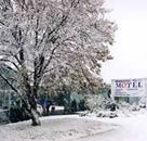 Maneroo Motel - Tourism Canberra