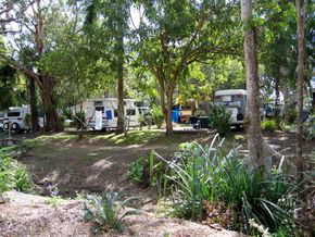 Big 4 Whitsundays Tropical Eco Resort (formerly Flametree) - Tourism Canberra 2