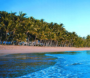 Novotel Palm Cove Resort - Tourism Canberra 1