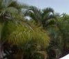 Ballina Beach Resort - Tourism Canberra 4
