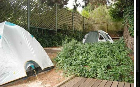 The Flying Fox Backpackers - Tourism Canberra 2