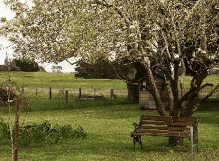 Lemon Gum B And B - Tourism Canberra 2