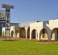 Citrus Motel - Tourism Canberra