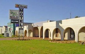 Citrus Motel - Tourism Canberra 0