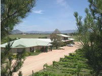 Mudgee Vineyard Motor Inn - Tourism Canberra 1