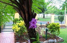 Waterfront Terraces - Tourism Canberra 1