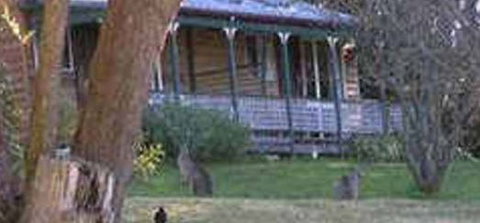 Cedar Lodge Cabins - Tourism Canberra 3