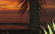 Mission Reef Resort - thumb 5