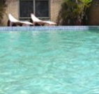 Toreador Motel - Coffs Harbour - Tourism Canberra